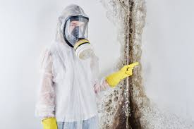 Why You Should Choose Our Mold Remediation Services in Underwood Petersville, AL